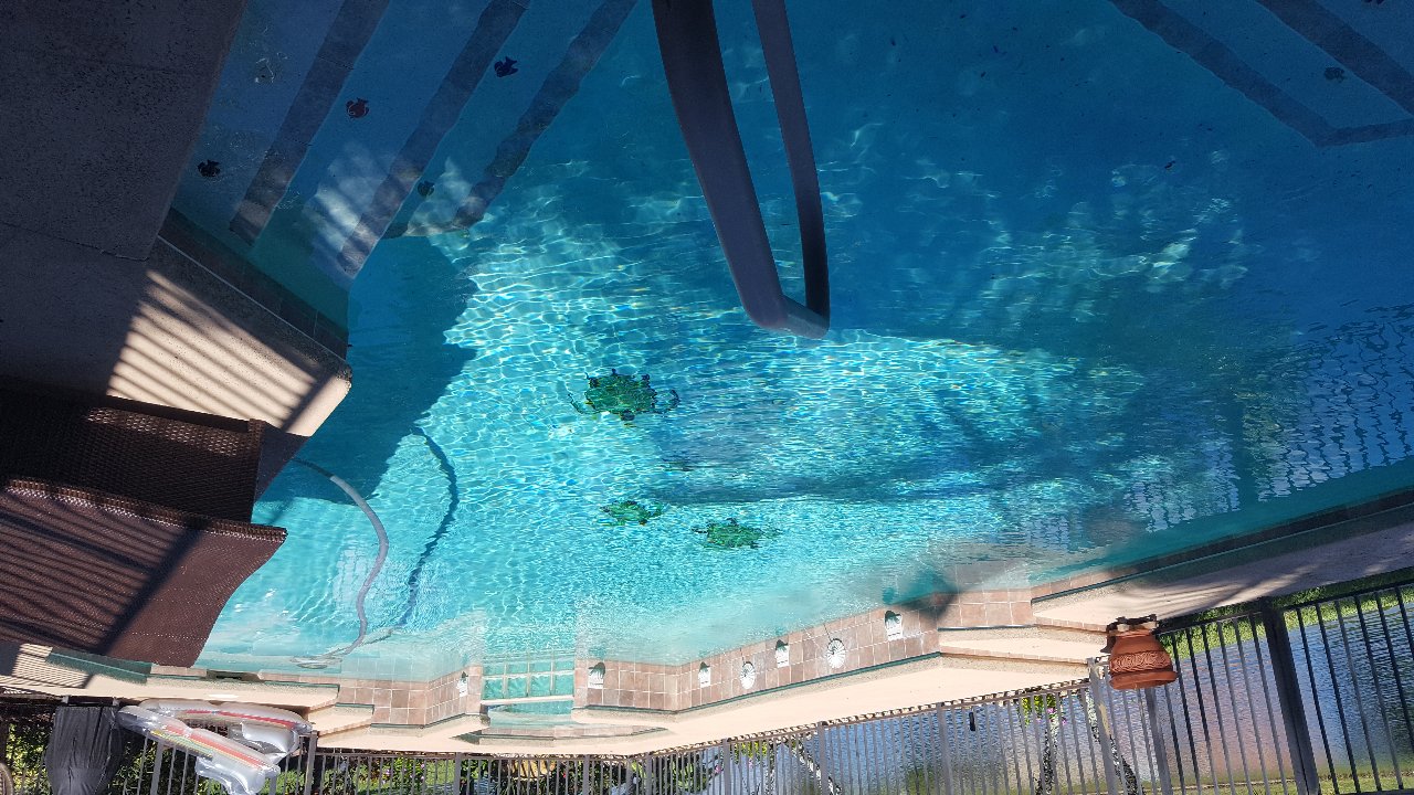 Artech Pools